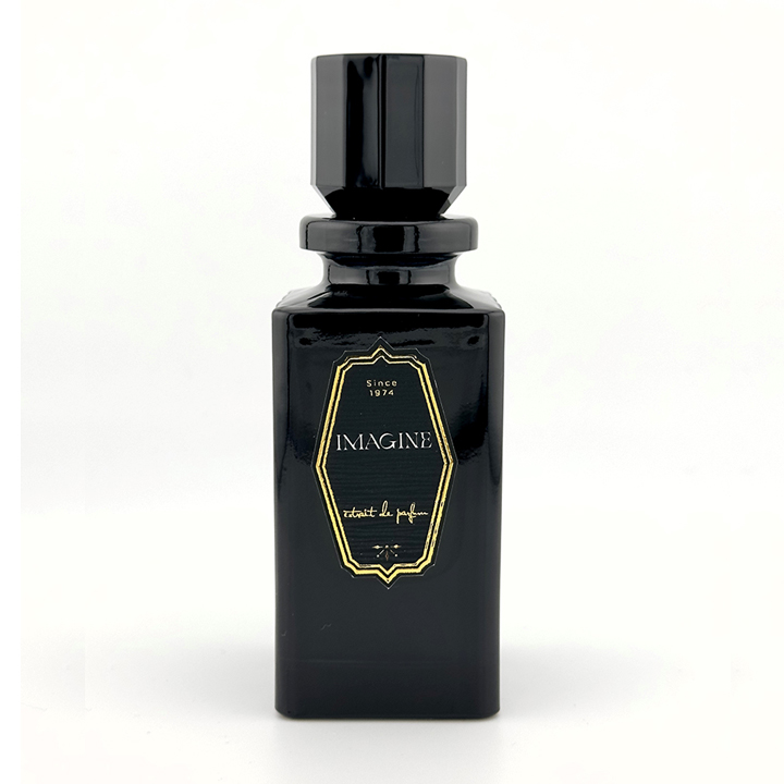 Inspired by Louis Vuitton Imagination